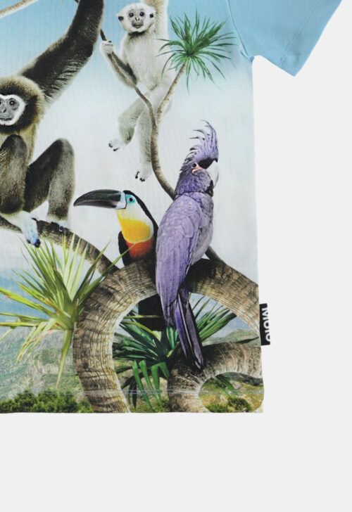 Molo T-shirt ‘Rame – Monkeys & Birds’ (43394)