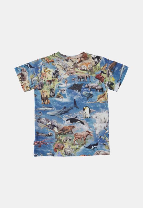 Molo T-shirt ‘Ralphie – Amazing Earth’ (121224)
