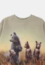 Molo Sweater ‘Mattis – Bear Life’ (146235)