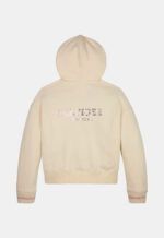Tommy Hilfiger Hoodie ‘Monotype Foil’ (156659)